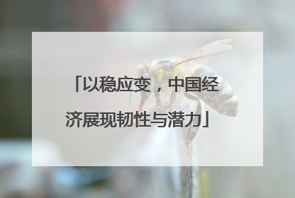 以稳应变，中国经济展现韧性与潜力