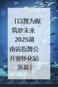 以舞为媒筑梦未来 2025湖南省街舞公开赛怀化站落幕