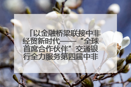 以金融桥梁联接中非经贸新时代——“全球首席合作伙伴”交通银行全力服务第四届中非经贸博览会