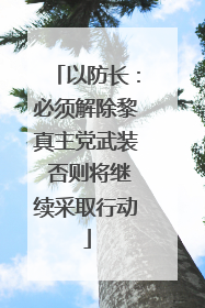 以防长：必须解除黎真主党武装 否则将继续采取行动