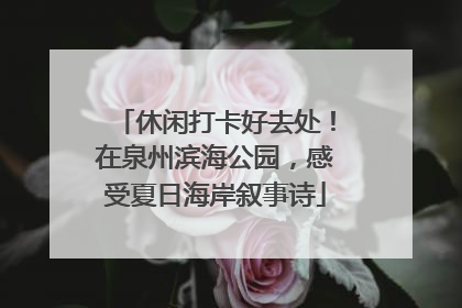 休闲打卡好去处！在泉州滨海公园，感受夏日海岸叙事诗