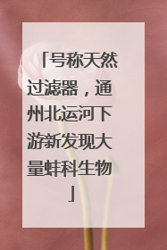 号称天然过滤器，通州北运河下游新发现大量蚌科生物