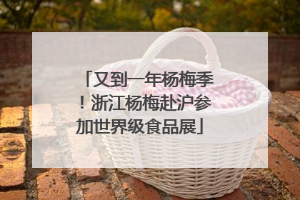 又到一年杨梅季！浙江杨梅赴沪参加世界级食品展