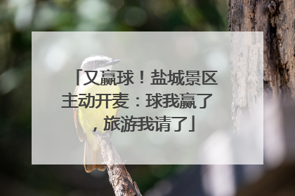 又赢球！盐城景区主动开麦：球我赢了，旅游我请了