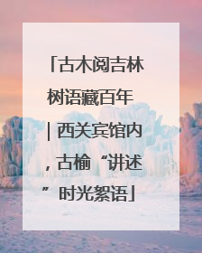 古木阅吉林 树语藏百年｜西关宾馆内，古榆“讲述”时光絮语