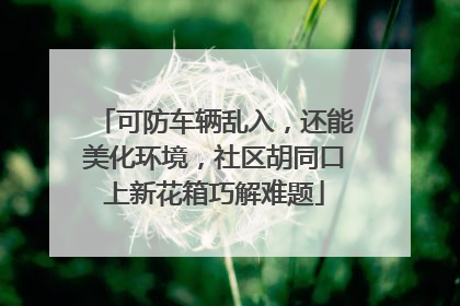 可防车辆乱入，还能美化环境，社区胡同口上新花箱巧解难题