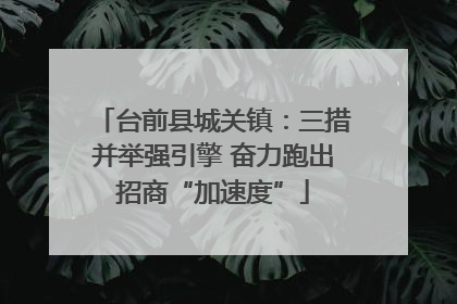 台前县城关镇：三措并举强引擎 奋力跑出招商“加速度”