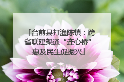 台前县打渔陈镇：跨省联建架通“连心桥” 惠及民生促振兴