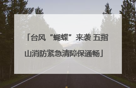 台风“蝴蝶”来袭 五指山消防紧急清障保通畅