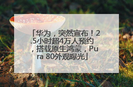 华为，突然宣布！2.5小时超4万人预约，搭载原生鸿蒙，Pura 80外观曝光