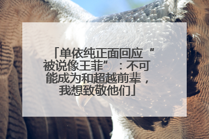 单依纯正面回应“被说像王菲”：不可能成为和超越前辈，我想致敬他们