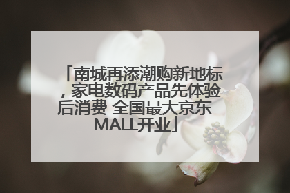南城再添潮购新地标，家电数码产品先体验后消费 全国最大京东MALL开业