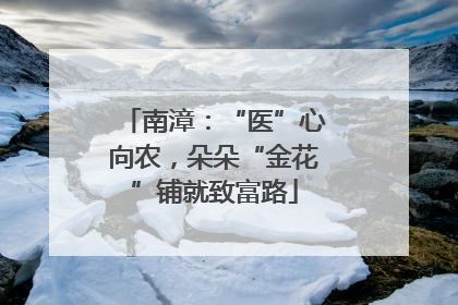 南漳：“医”心向农，朵朵“金花”铺就致富路