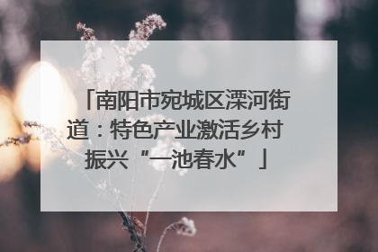 南阳市宛城区溧河街道：特色产业激活乡村振兴“一池春水”