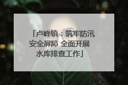 卢峰镇：筑牢防汛安全屏障 全面开展水库排查工作