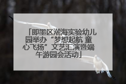 即墨区潮海实验幼儿园举办“梦想起航 童心飞扬”文艺汇演暨端午游园会活动