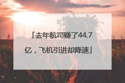 去年航司赚了44.7亿，飞机引进却降速