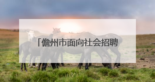 儋州市面向社会招聘中小学教师136名