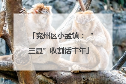 兖州区小孟镇：“三夏”收割话丰年