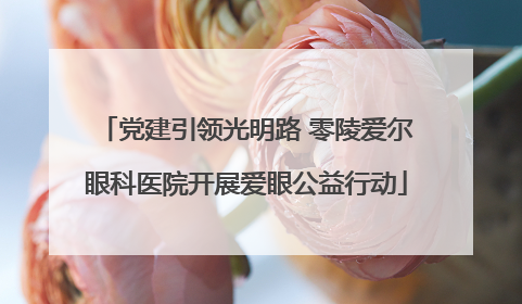 党建引领光明路 零陵爱尔眼科医院开展爱眼公益行动