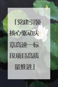 党建引领核心驱动庆章高速一标段项目高质量推进