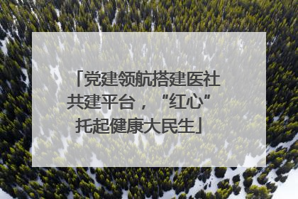 党建领航搭建医社共建平台，“红心”托起健康大民生
