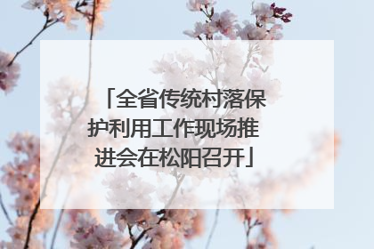 全省传统村落保护利用工作现场推进会在松阳召开