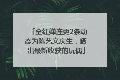 全红婵连更2条动态为陈艺文庆生，晒出最新收获的玩偶