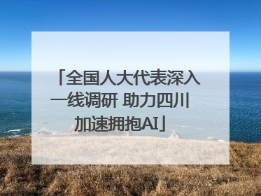 全国人大代表深入一线调研 助力四川加速拥抱AI