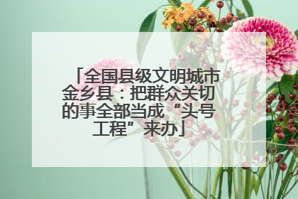 全国县级文明城市金乡县：把群众关切的事全部当成“头号工程”来办