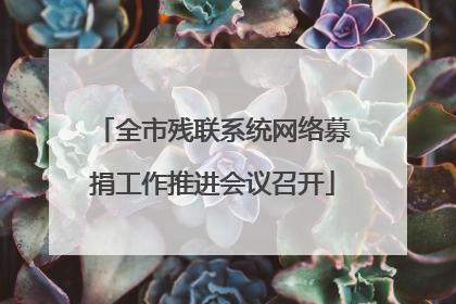 全市残联系统网络募捐工作推进会议召开
