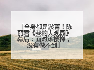 全身都是淤青！陈丽君《我的大观园》幕后：面对滚楼梯，没有做不到
