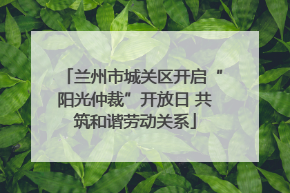 兰州市城关区开启“阳光仲裁”开放日 共筑和谐劳动关系