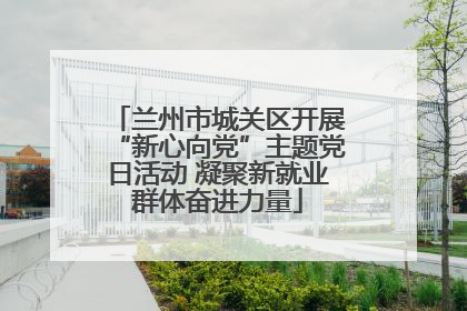 兰州市城关区开展“新心向党”主题党日活动 凝聚新就业群体奋进力量