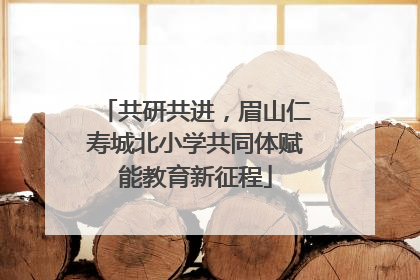 共研共进，眉山仁寿城北小学共同体赋能教育新征程