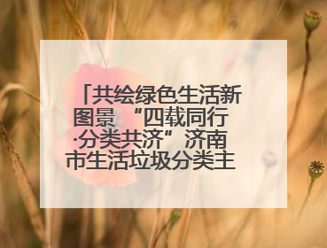 共绘绿色生活新图景 “四载同行·分类共济”济南市生活垃圾分类主题活动举行