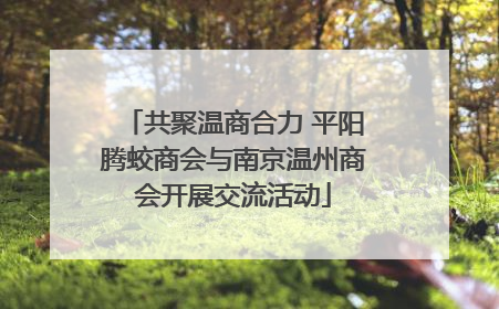 共聚温商合力 平阳腾蛟商会与南京温州商会开展交流活动