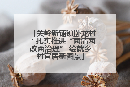 关岭新铺镇卧龙村：扎实推进“两清两改两治理” 绘就乡村宜居新图景
