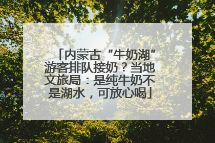 内蒙古“牛奶湖”游客排队接奶？当地文旅局：是纯牛奶不是湖水，可放心喝
