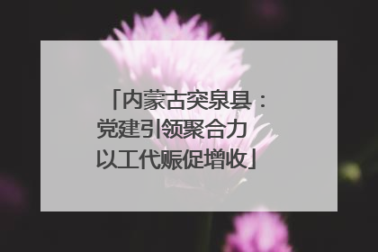 内蒙古突泉县：党建引领聚合力 以工代赈促增收