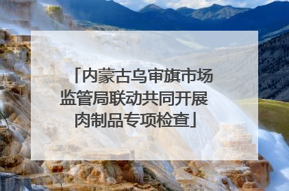 内蒙古乌审旗市场监管局联动共同开展肉制品专项检查