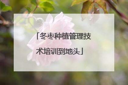 冬枣种植管理技术培训到地头