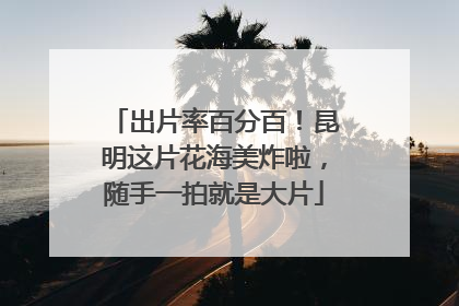 出片率百分百！昆明这片花海美炸啦，随手一拍就是大片