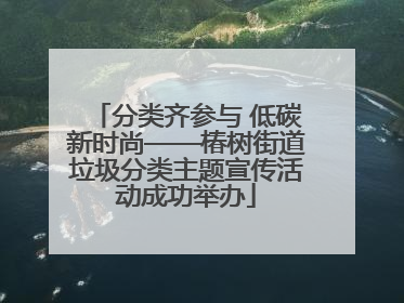 分类齐参与 低碳新时尚——椿树街道垃圾分类主题宣传活动成功举办