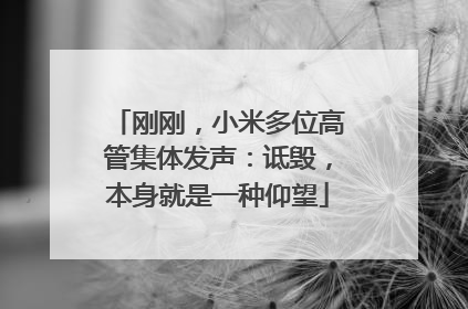 刚刚，小米多位高管集体发声：诋毁，本身就是一种仰望
