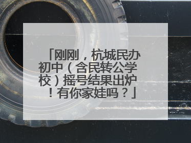 刚刚，杭城民办初中（含民转公学校）摇号结果出炉！有你家娃吗？
