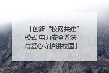 创新“校网共建”模式 电力安全普法与爱心守护进校园