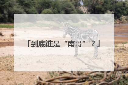到底谁是“南哥”？
