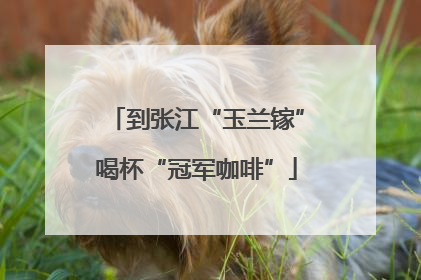 到张江“玉兰镓”喝杯“冠军咖啡”