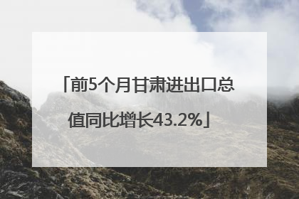 前5个月甘肃进出口总值同比增长43.2%
